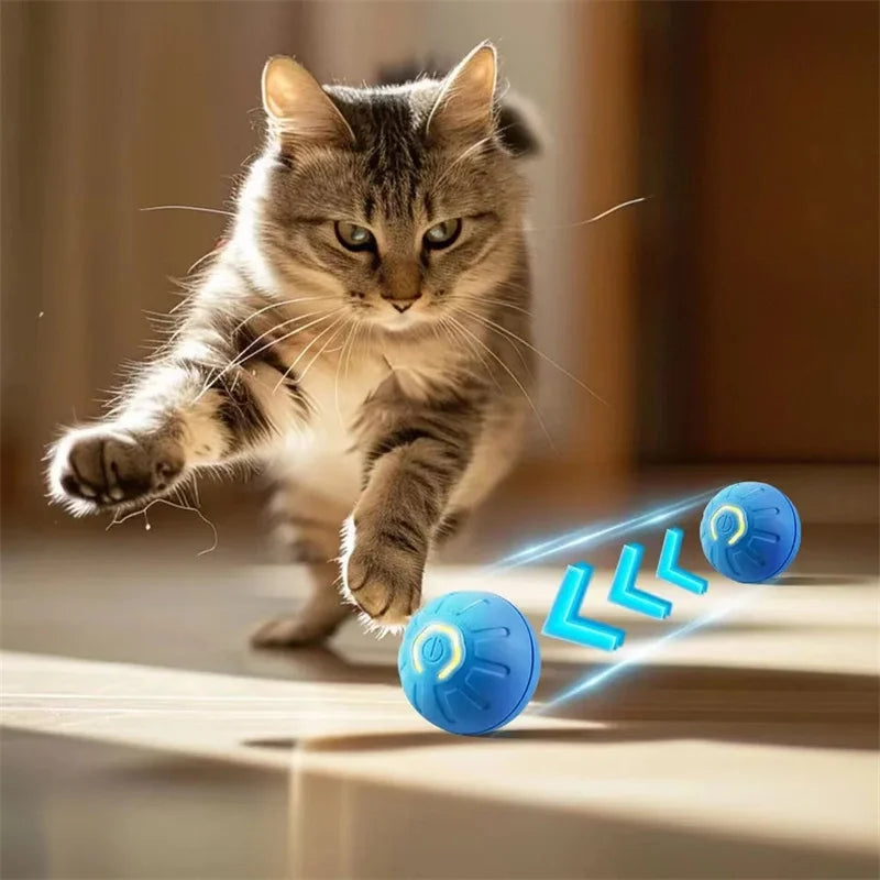 Active Pet Bounce Ball Toy