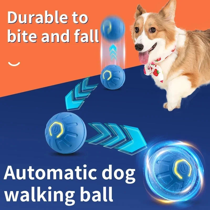 Active Pet Bounce Ball Toy