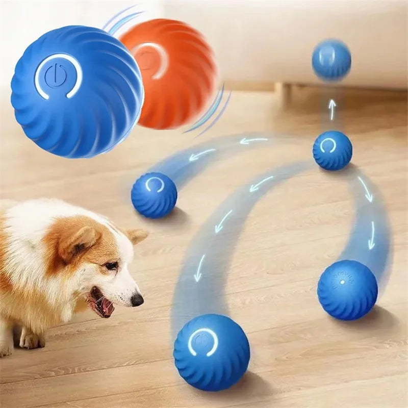 Active Pet Bounce Ball Toy